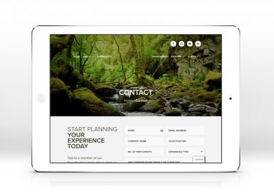 Recalibration Contact Page Design